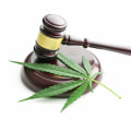 Understanding Medical Cannabis Laws in the UK