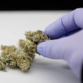 Will medical cannabis be legal in uk?