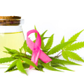 Benefits of Medical Cannabis for Cancer Patients