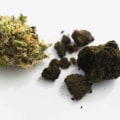 What's the difference between cannabis and cannabis resin?