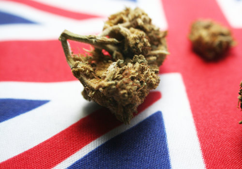 Understanding the Impact of Importing and Exporting Medical Cannabis in the UK