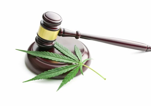 Understanding Medical Cannabis Laws in the UK
