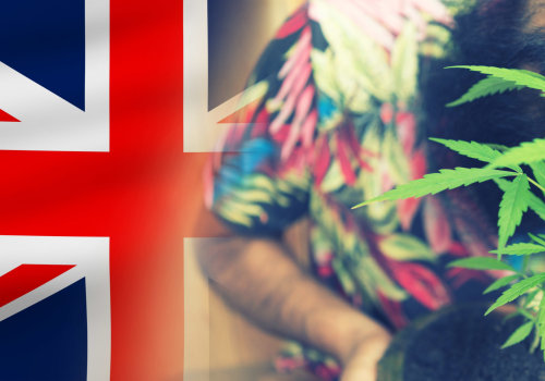 How common is cannabis use in the uk?